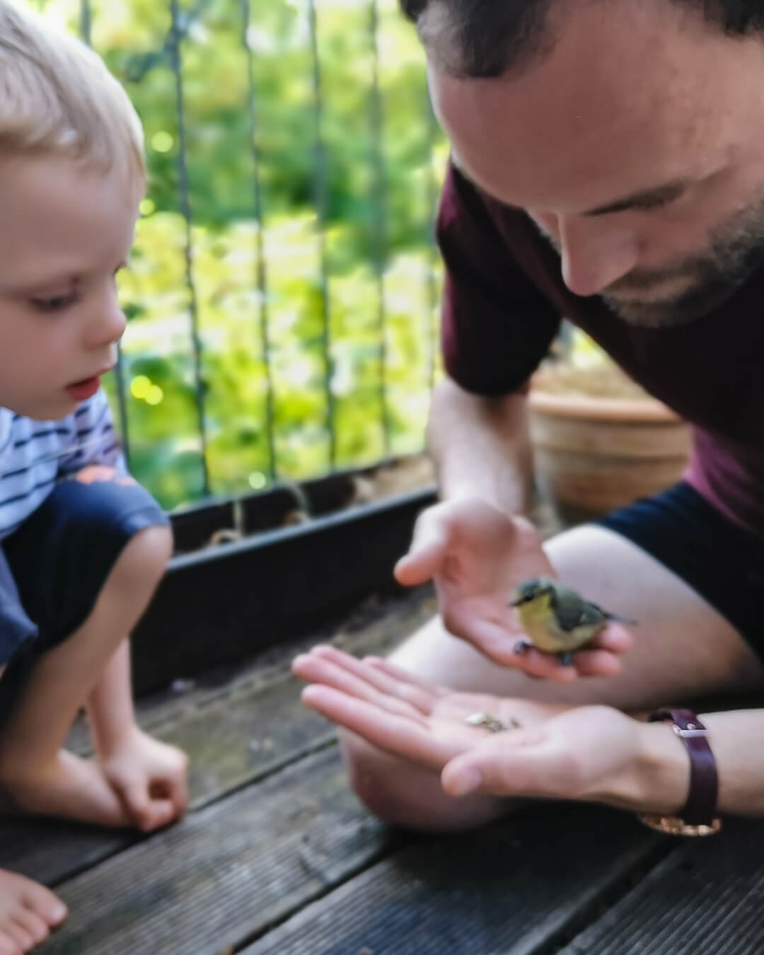 Systemischer Einzel-, Paar- und Familientherapeut - Jakob Klemm